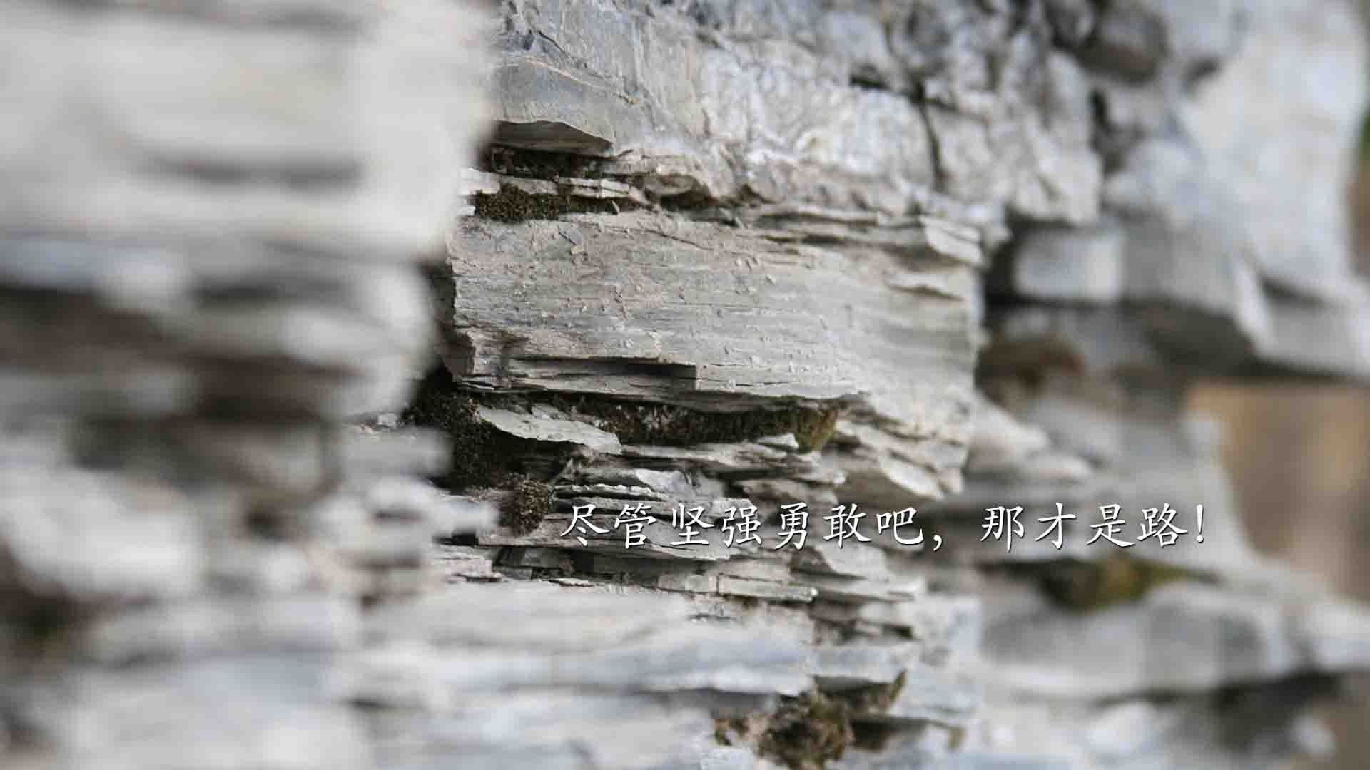 库里：一场场“远投”让全联盟为之侧目！，库里运球投篮集锦