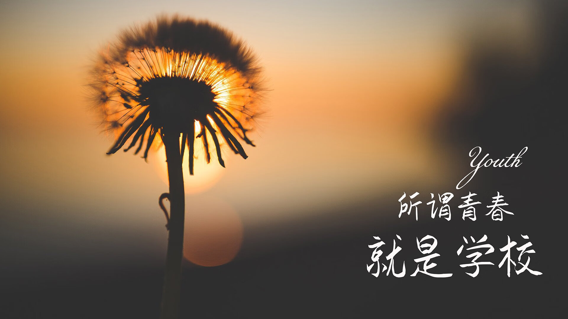 德国骑手吉尔·托马斯在2024年国际马术联合会障碍赛世界巡回赛中以“Bella”马匹获得个人第六名，表现出色。