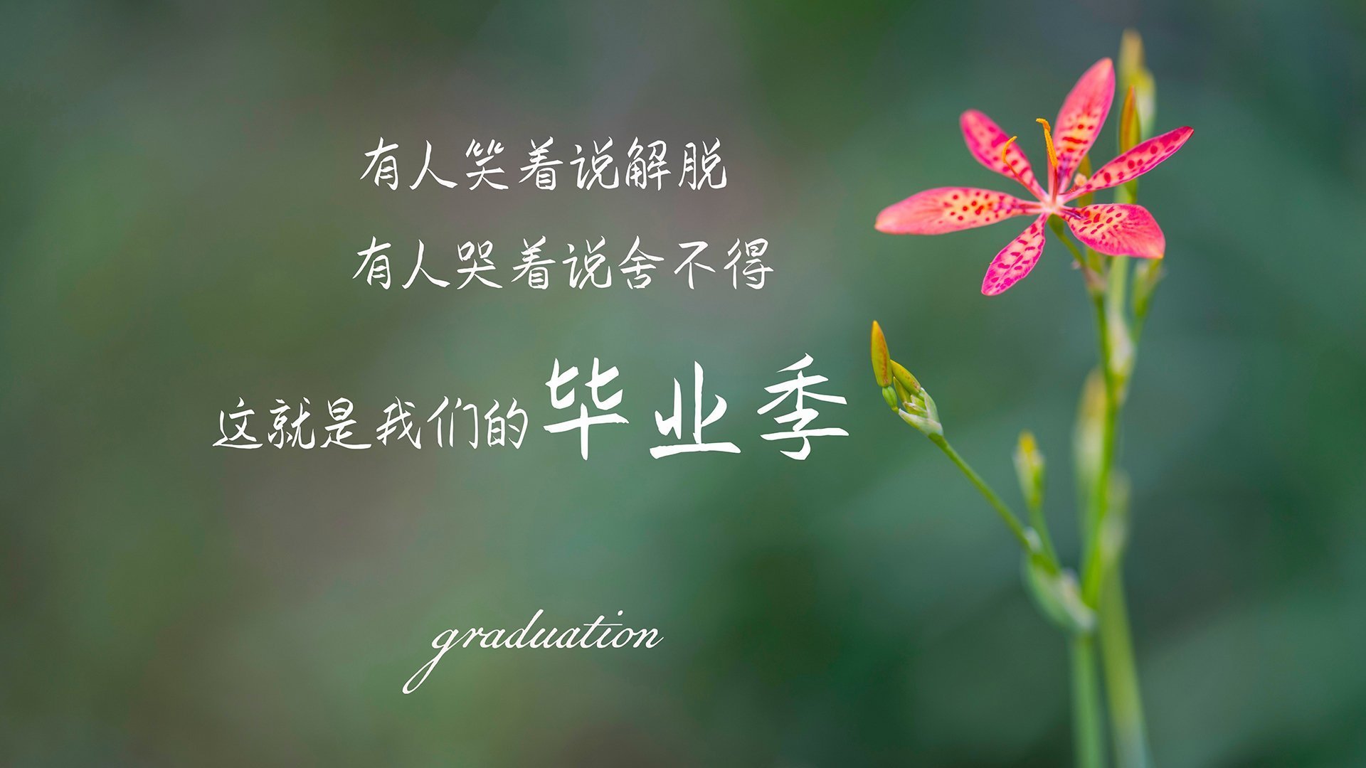 石油人新秀球员表现亮眼，石油人的七夕