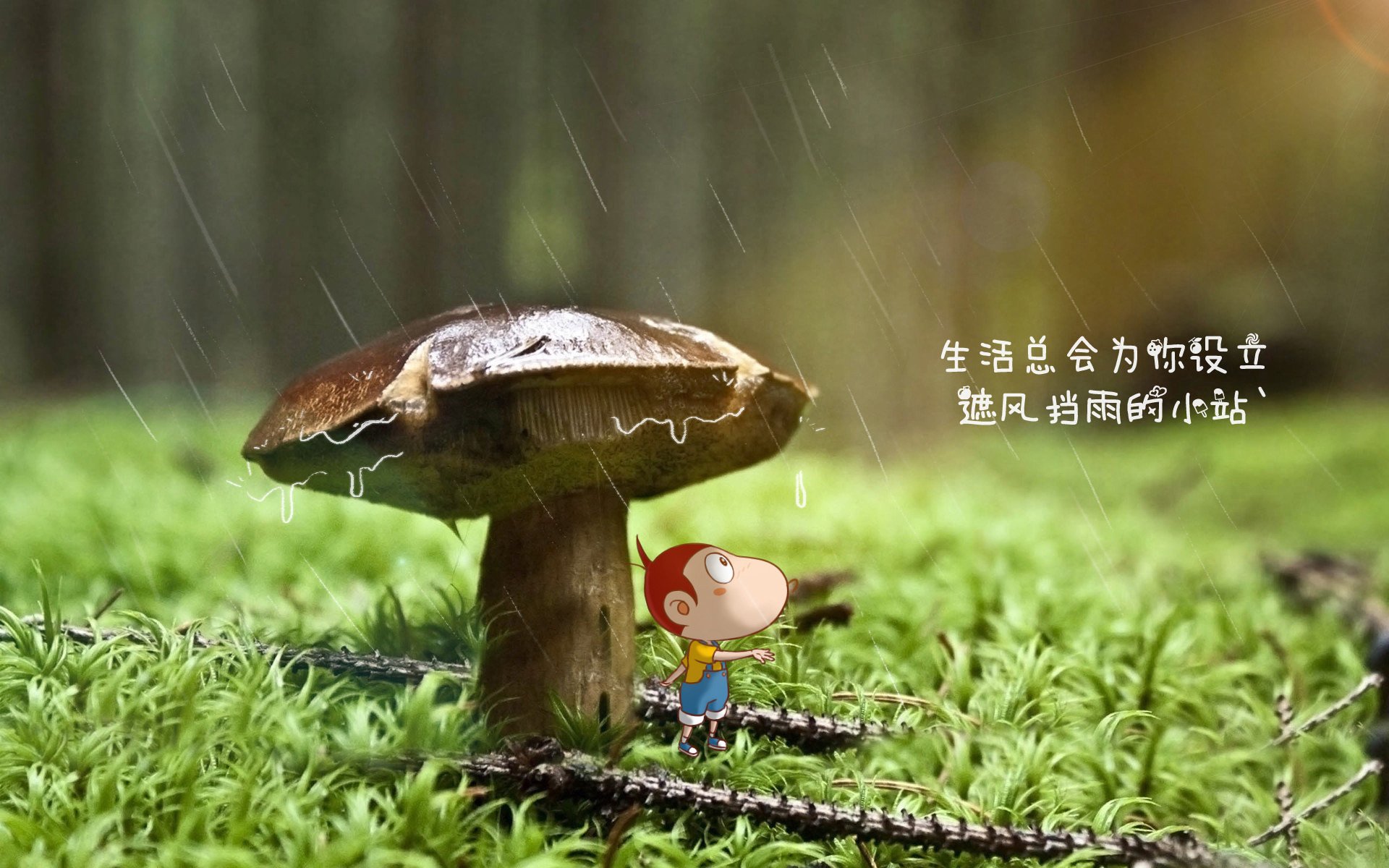 中国足球传控比例变化趋势图，足球传控训练