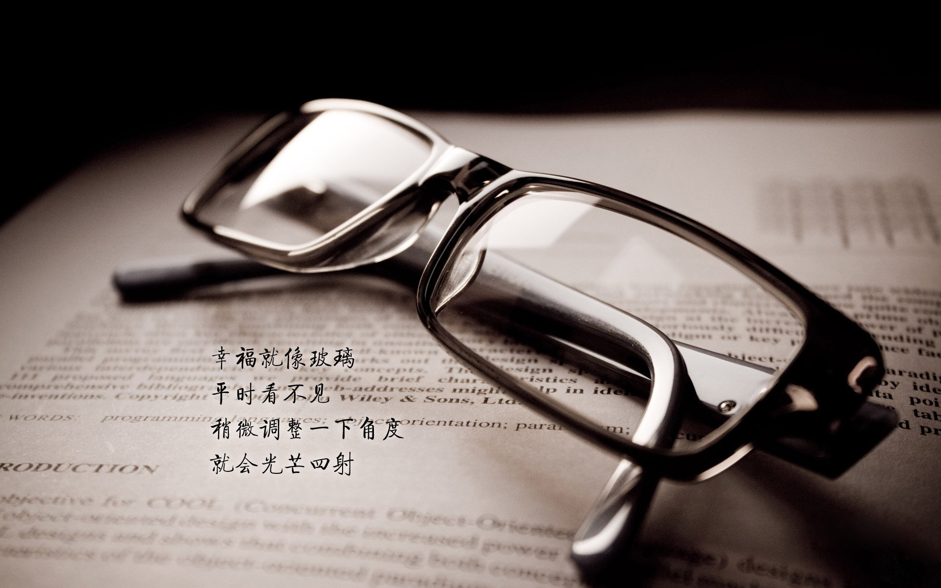 “徒步定向越野：东部新区赛场上演智慧与速度的竞逐”