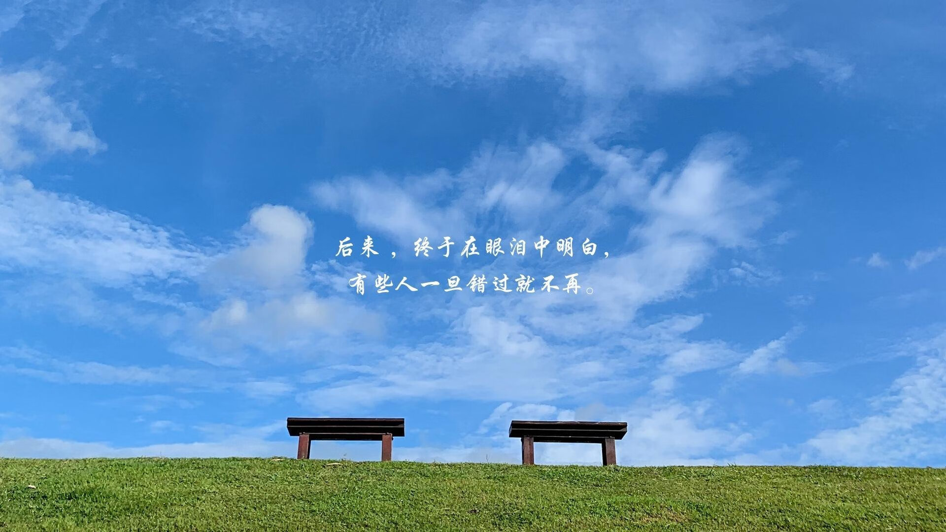 中国队决赛精彩瞬间成为赛场焦点，中国队进决赛