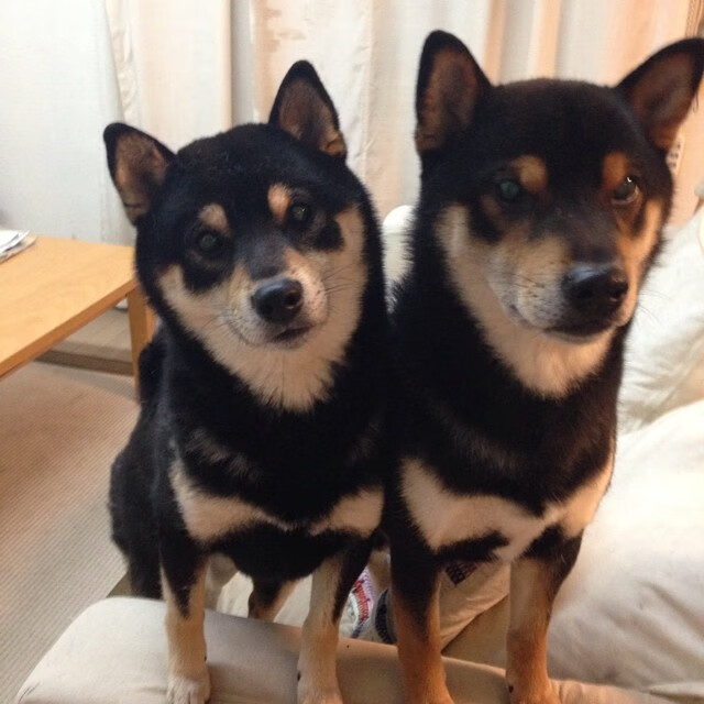 吉尔吉斯斯坦水球战术灵活多变，吉尔吉斯斯坦河流