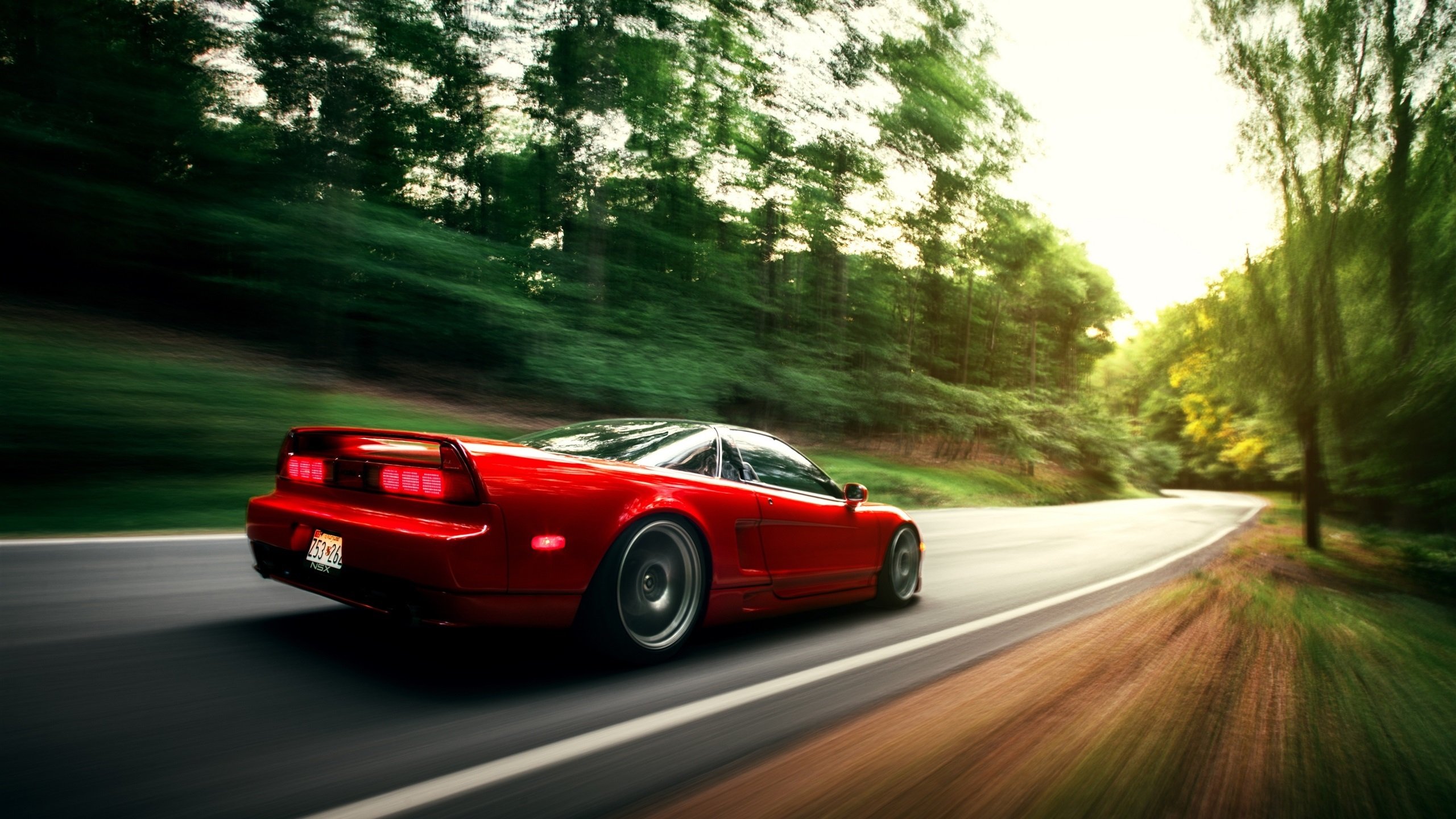 澳大利亚接力队刷新赛会纪录，澳大利亚友谊赛